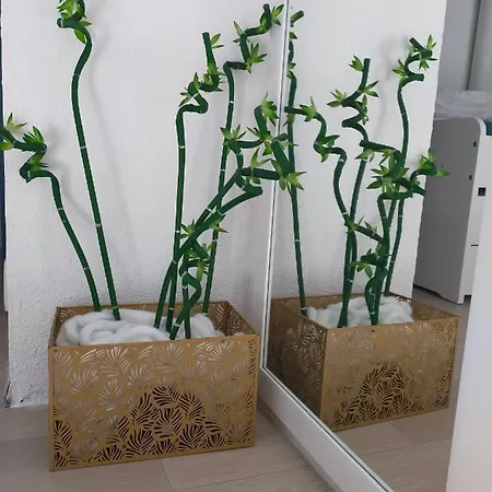 דירה Les Estivales