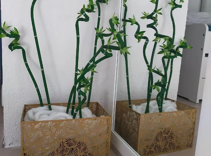 Appartamento Résidence Les Estivales